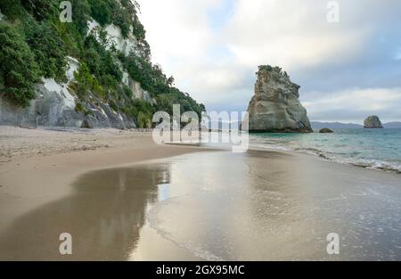 TE Hoho Rock in einem Küstengebiet namens Cathedral Cove Im südlichen Teil der Mercury Bay am Coromandel Halbinsel auf der Nordinsel von Neuseeland Stockfoto