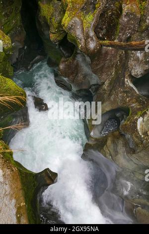 Naturlandschaft rund um die Chasm Falls am Cleddau River at Die Südinsel von Neuseeland Stockfoto