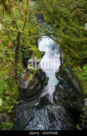 Naturlandschaft rund um die Chasm Falls am Cleddau River at Die Südinsel von Neuseeland Stockfoto