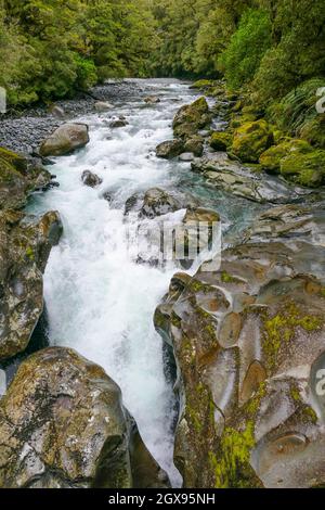 Naturlandschaft rund um die Chasm Falls am Cleddau River at Die Südinsel von Neuseeland Stockfoto