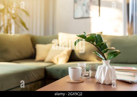 Entspannende Zeit in Komfort zu Hause mit Kerzen, Kaffeetasse, Bücher und Vase mit zamioculcas am Holztisch. Grünes Sofa mit gelben Kissen. Sonnenstrahlen. Stockfoto