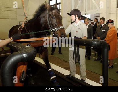 Die britische Königin Elizabeth II. Beobachtet ein Pferd auf einem Laufband während eines Besuchs des Royal Veterinary College in Hertfordshire. â©Anwar Hussein/allactiondigital.com Stockfoto