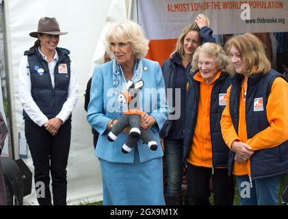 Camilla, Herzogin von Cornwall, erhält am Stand der Brooke Organisation einen gestrickten Esel während ihres Besuches auf der South of England Show in Ardingly, West Sussex am 8. Juni 2017 Stockfoto