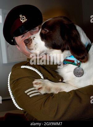 Der Hund der britischen Armee Buster und sein Handler Sergent Danny Morgan zeigten ihm seine Tiere, die ihm das Victoria Cross für seine herausragende Hingabe an den Dienst während des jüngsten Konflikts im Irak überreicht hatte. Die Zeremonie fand im Imperial war Museum, Lambeth, statt. Stockfoto