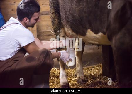 Alltag für die Bauern auf dem Land junge glücklichen Milchkuh Melken von Hand für die Milcherzeugung Stockfoto