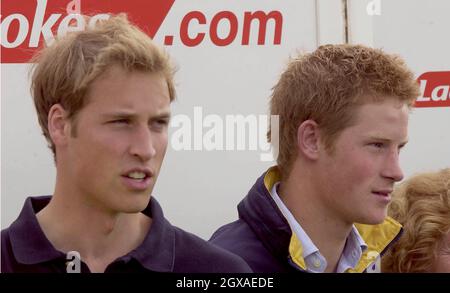 Prinz William und Prinz Harry im Cirencester Park Polo Club für den Queen Mother's Cup. Anwar Hussein/allactiondigital.com Stockfoto