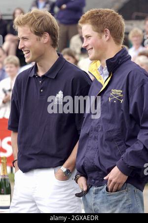 Prinz William und Prinz Harry im Cirencester Park Polo Club für den Queen Mother's Cup. Anwar Hussein/allactiondigital.com Stockfoto