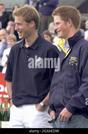 Prinz William und Prinz Harry im Cirencester Park Polo Club für den Queen Mother's Cup. Anwar Hussein/allactiondigital.com Stockfoto