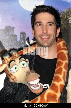 David Schwimmer bei der Fotokalle aus Madagaskar im Mandarin Hotel in London. Die Schauspieler machen die Stimme für die animierten Charaktere. Stockfoto