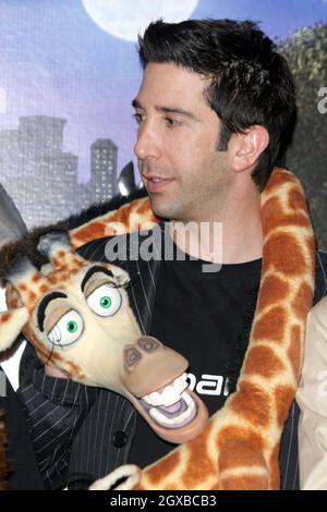 David Schwimmer bei der Fotokalle aus Madagaskar im Mandarin Hotel in London. Die Schauspieler machen die Stimme für die animierten Charaktere. Stockfoto