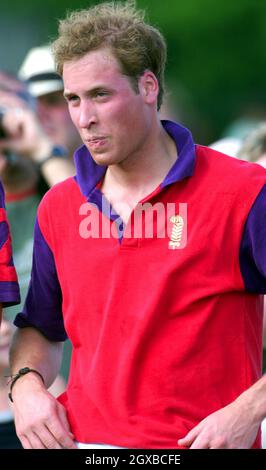 Prinz William lächelt, nachdem er am 19. Juni 2005 im Beaufort Hunt Polo Club in Tetbury, England, beim Calcot Manor Hotel Cup teilnimmt. Der Prinz feiert seinen 23. Geburtstag am Dienstag, den 21. Juni, und seine Abschlussfeier findet am Donnerstag, den 23. Juni, statt. Anwar Hussein/allactiondigital.com Stockfoto