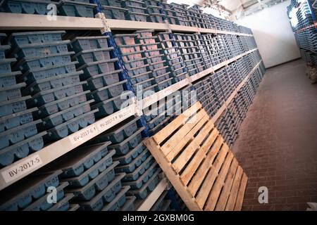 Goldbergbau Lagerung Steinkern Proben Geologie Bohren industy Stockfoto