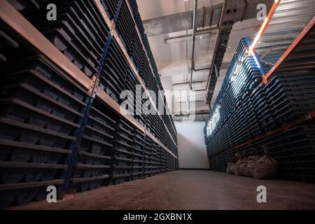 Goldbergbau Lagerung Steinkern Proben Geologie Bohren industy Stockfoto