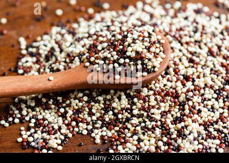 Rohe Quinoa auf Holzlöffel rot und witen Stockfoto
