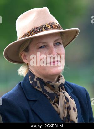 Sophie, Gräfin von Wessex, nimmt am 13. Mai 2018 an dem Champagne Laurent-Perrier-Treffen der British Driving Society auf der Royal Windsor Horse Show Teil. Stockfoto