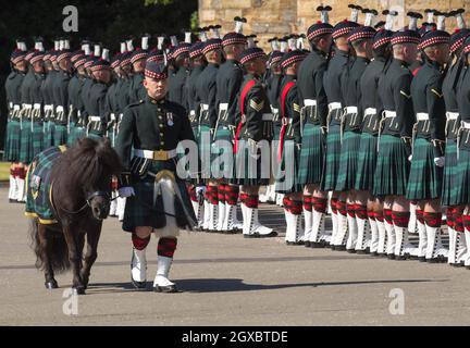 Balaklava Company, The Argyll and Sunderland Highlanders, 5. Bataillon das Royal Regiment of Scotland und ihr offizielles Maskottchen, ein Shetland-Pony namens Cruachan, nehmen am 2. Juli 2018 an der Zeremonie der Schlüssel im Holyroodhouse Teil. Wo der Königin symbolisch die Schlüssel zur Stadt Edinburgh vom Lord Provost angeboten werden. Stockfoto