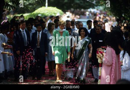 Diana, Prinzessin von Wales, lächelt, als sie während ihres Besuchs in Lahore, Pakistan, im Oktober 1991 Blütenblätter auf sie geworfen hat. Anwar Hussein/EMPICS Entertainment Stockfoto