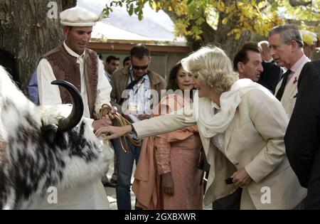 Prinz Charles, Prinz von Wales und Camilla, Herzogin von Cornwall werden am 3. November 2006 bei ihrem Besuch in einem Bergdorf in der Nähe von Skardu im pakistanischen Himalaya mit einem Yak überreicht. Anwar Hussein/EMPICS Entertainment Stockfoto