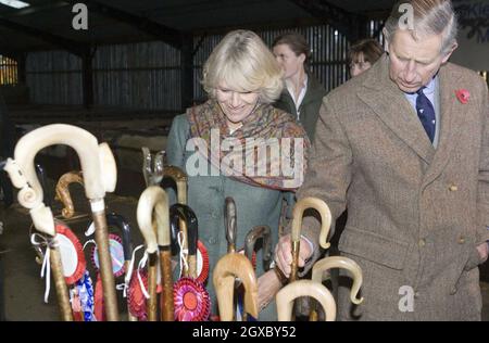 Prinz Charles, Prinz von Wales und Camilla, Herzogin von Cornwall werden am 9. November 2006 beim Besuch der Dunterly Farm in Norhumberland mit Wanderstöcken überreicht. Anwar Hussein/EMPICS Entertainment Stockfoto