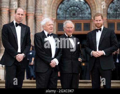 Der Herzog von Cambridge, Sir David Attenborough, der Prinz von Wales und der Herzog von Sussex nehmen am 4. April 2019 an der Netflix tv-Show-Premiere von „Our Planet“ im National History Museum in London Teil. Stockfoto