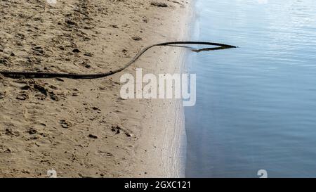 Eisenkabel liegt im Sommer im Wasser Stockfoto