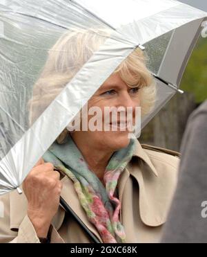 Camilla, Herzogin von Cornwall, untersteht einem Regenschirm, während sie am 11. Mai 2007 beim Dartmoor Pony Moorland Scheme in Devon nassen und windigen Bedingungen trotzt. Stockfoto