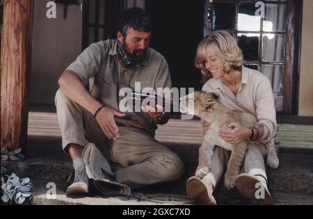 Bill Travers und Virginia McKenna füttern einen jungen Löwen am Set des Films „Born Free“, der auf dem Buch von Joy Adamson über ihre Rettung der Löwin Elsa in Ostafrika am 01. Januar 1966 in Kenia basiert. Stockfoto