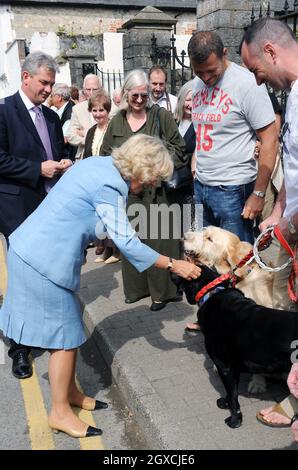 Camilla, Herzogin von Cornwall streichelt einen Hund während eines Besuchs im Physic Garden in Cowbridge, South Glamorgan in Wales. Stockfoto