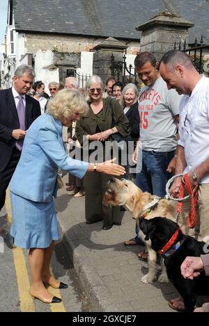 Camilla, Herzogin von Cornwall streichelt einen Hund während eines Besuchs im Physic Garden in Cowbridge, South Glamorgan in Wales. Stockfoto