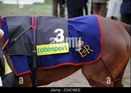 Queen Elizabeth ll's Horse Barber Shop startet am 13. März 2009 im Cheltenham Gold auf der Cheltenham Racecourse. Stockfoto