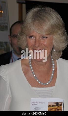 Camilla, Herzogin von Cornwall, nimmt an einem Empfang mit Bio-Lebensmitteln in der Residenz des britischen Botschafters in Rom Teil. Stockfoto