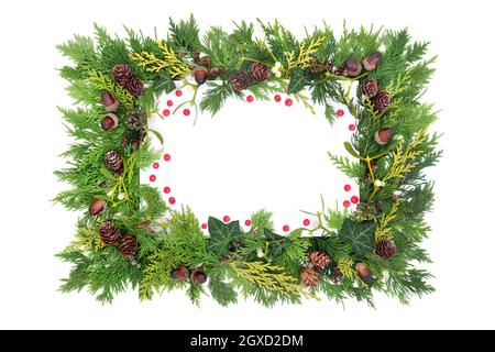 Winter, Weihnachten & Neujahr Hintergrund Grenze mit roten Stechbeeren, Zedernblätter, Mistel, Eichel, Kiefer Kegel, ivy. Natur umweltfreundliche Zusammensetzung. Stockfoto