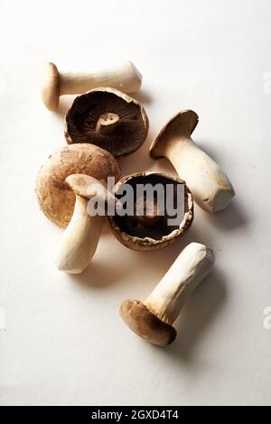 Draufsicht auf verschiedene Pilze auf beigefarbenem Hintergrund. Konzept der Waldernte Stockfoto