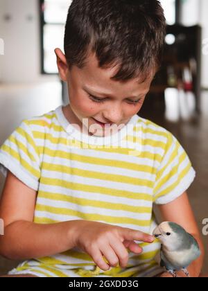 Niedlicher kleiner Junge im gestreiften T-Shirt, der zu Hause mit einem kleinen Vogel mit grauem Gefieder sitzt Stockfoto