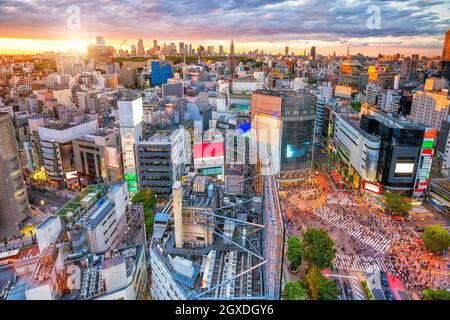 Shibuya Crossing von oben in der Dämmerung in Tokio, Japan Stockfoto