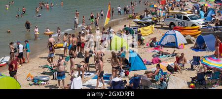 Ein Panoramabild des äußerst belebten Towan Beach, der von Urlaubern bevölkert ist, die ihren Sommerurlaub in Newquay in Cornwall genießen. Stockfoto