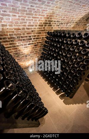 Sekt, Weinkeller in Traiskirchen bei Wien, Thermenregion, Österreich Stockfoto