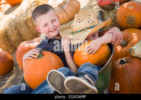 Zwei kleine Jungs spielen in Schubkarre im Kürbisbeet in einer rustikalen Landschaft. Stockfoto