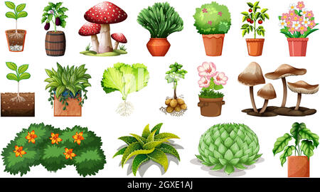Set von verschiedenen Pflanzen in Töpfen isoliert auf weißem Hintergrund Stock Vektor