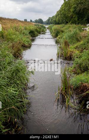 Das Frischwasser fließt durch den Fischgang am Fluss „The Berkel“ in der Nähe des Dorfes Eibergen in den Niederlanden Stockfoto