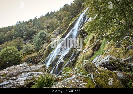 Majestätische Wasserkaskade des Powerscourt Waterfall, dem höchsten Wasserfall Irlands. Berühmte Touristenattraktionen in co. Wicklow, Irland. Stockfoto