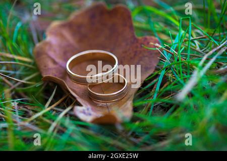 Gold Trauringe liegen auf einem Blatt im Park Stockfoto