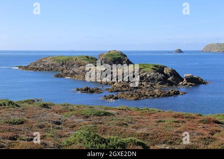 Carreg yr Esgob, Porthlysgi Bay, National Park Coast Path in der Nähe von Porthlisky, St Davids, Pembrokeshire, Wales, Großbritannien, Europa Stockfoto