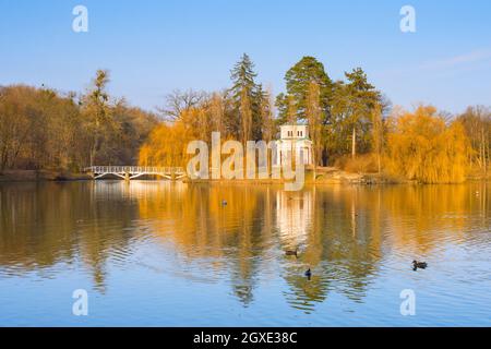 Enten in einem See des Sophia National Park im Frühling bei Sonnenuntergang. Berühmtes Touristenziel. Uman, Ukraine Stockfoto