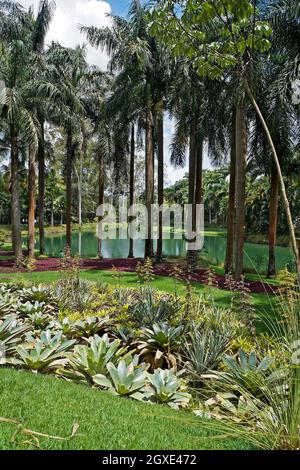 BRUMADINO, MINAS GERAIS, BRASILIEN - 17. JANUAR 2018: Tropischer Garten und Teilansicht des Sees im Instituto Inhotim (Inhotim-Institut) Stockfoto