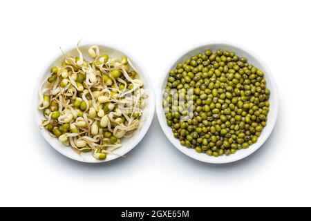 Gekeimt grüne Mungbohnen und getrocknete Bohnen. Mungsprossen isoliert auf weißem Hintergrund. Stockfoto