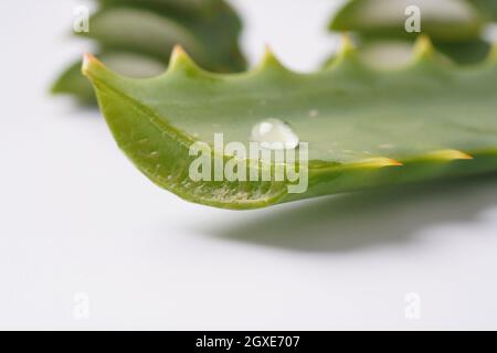 Aloe Vera Blatt geschnitten mit einem Tropfen Blattsaft darauf. Weißer Hintergrund. Hoher Nutzen für die Gesundheit. Stockfoto