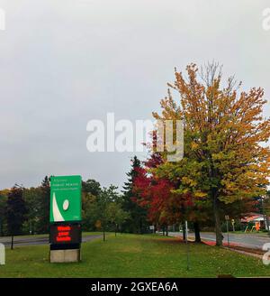 Wunderschöne Herbstfarben/Herbstsaison/Ahornbaum/Kanada Stockfoto