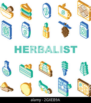 Kräuterkundige Medizinische Sammlung Icons Set Vektor Illustrationen Stock Vektor