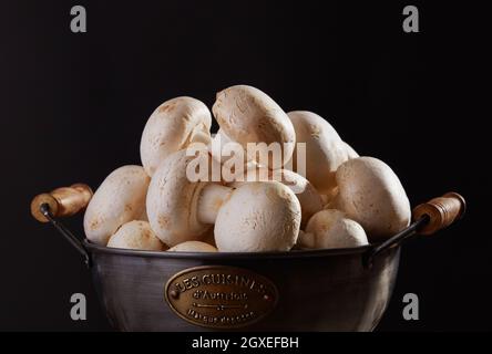 Frisch gepflückte Pilze in einer Schüssel Stockfoto